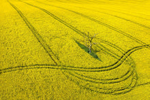 Load image into Gallery viewer, CROP CIRCLES